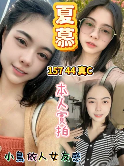 台北定點茶-夏慕/157/44/?/C