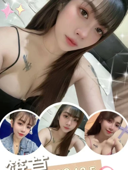 高雄定點茶-筱草/158/48/24/E