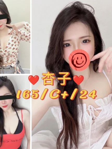 台北定點茶-杏子/164/49/24/C