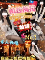 台北定點茶-帕拉梅拉/161/45/21/C