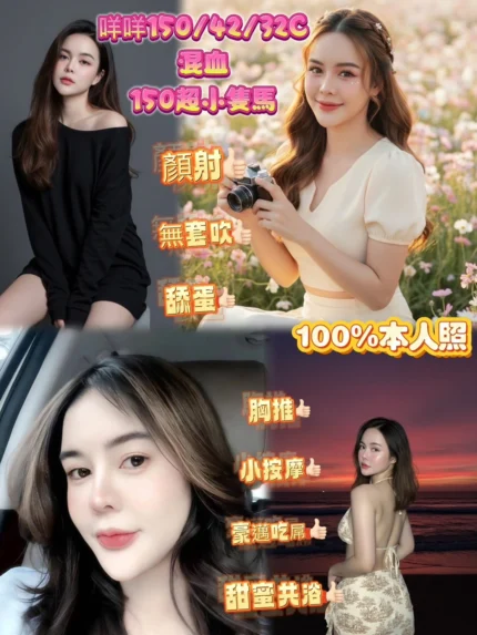 新北定點茶-咩咩/150/42/?/C