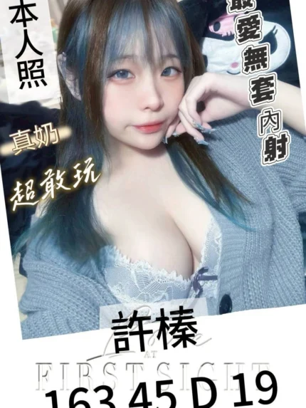 台南外送茶-許榛/163/45/19/D