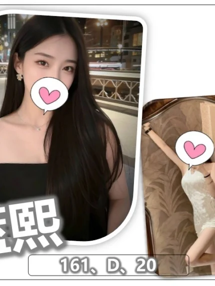 桃園外送茶-藍熙/161/?/20/D