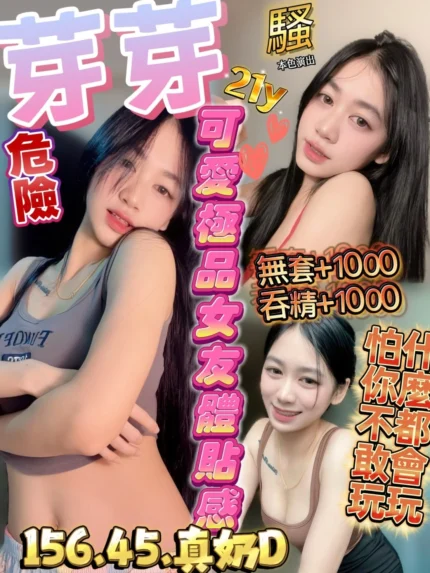 新竹定點茶-芽芽/156/45/21/D