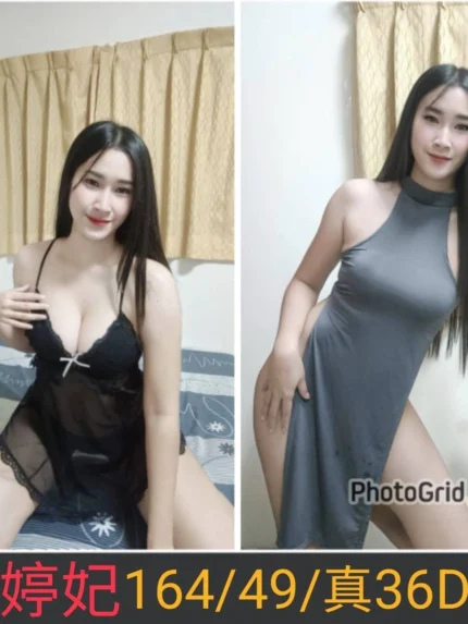 南投定點茶-婷妃/164/49/25/D