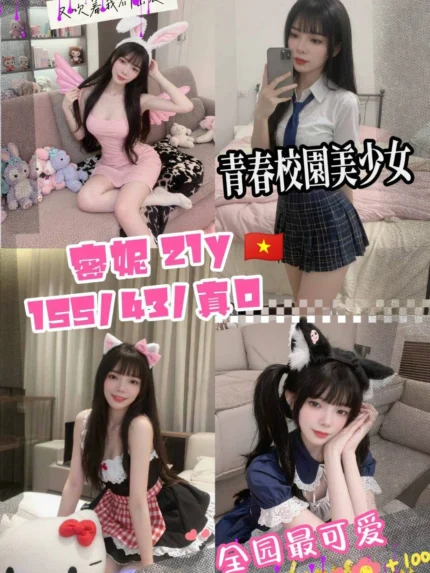 桃園定點茶-蜜妮/155/43/21/D