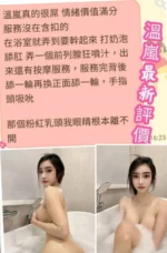 台南定點茶-溫嵐/158/45/19/E