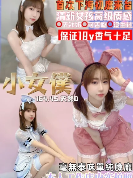 桃園定點茶-小女僕/164/45/18/D