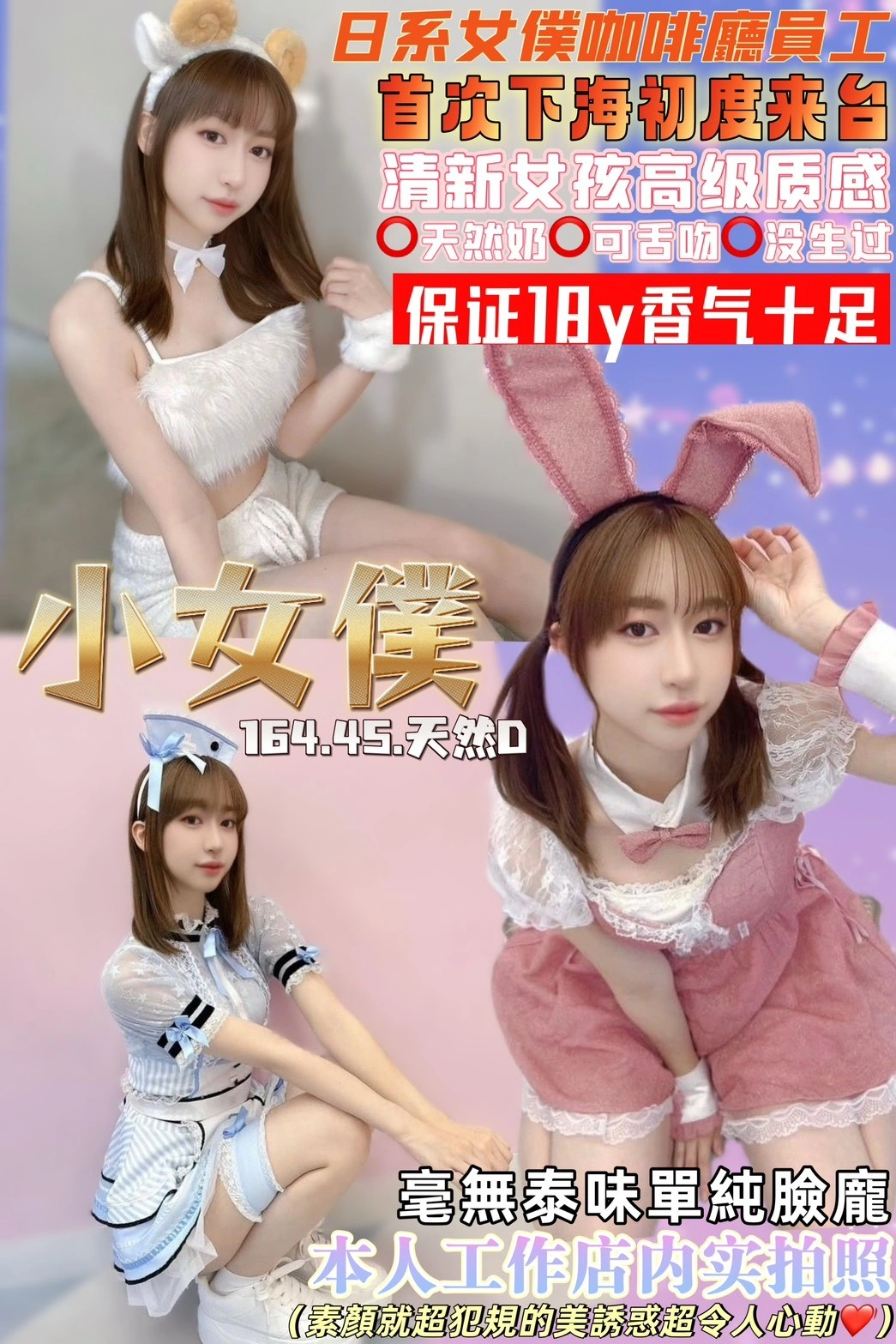 桃園定點茶-小女僕/164/45/18/D 桃園定點茶-小女僕/164/45/18/D