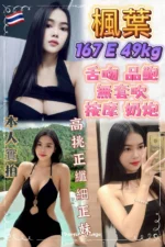 新北定點茶-楓葉/167/49/23/E