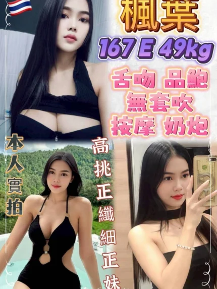 新北定點茶-楓葉/167/49/23/E