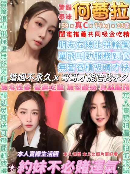 台北定點茶-何蕾拉/158/44/23/C