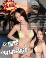 雲林定點茶-禾羽/158/46/?/D