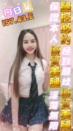 高雄定點茶-向日葵/157/43/25/E