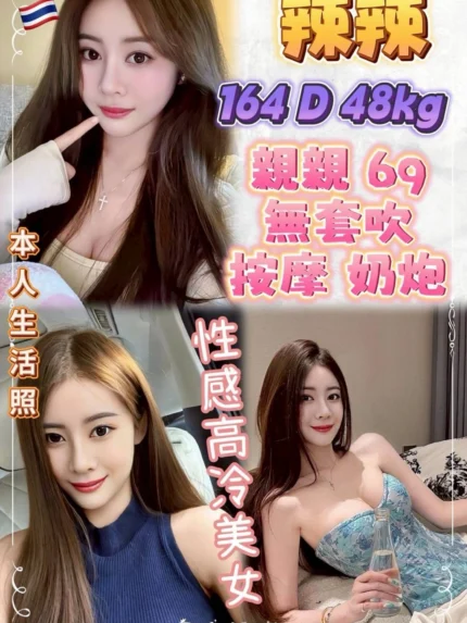 新北定點茶-辣辣/164/48/24/D