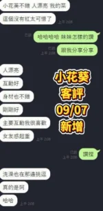 台南定點茶-小花葵/160/46/19/E