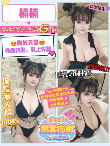 桃園定點茶-楠楠/160/50/24/G