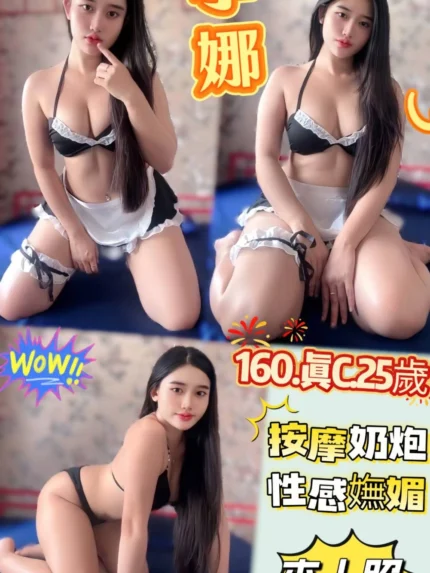 新北定點茶-李娜/160/48/25/C