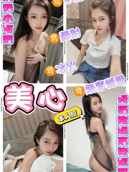 新北定點茶-美心/158/40/22/C