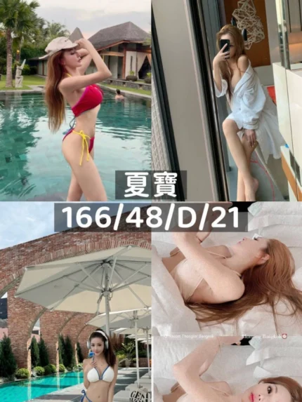 桃園外送茶-夏寶/166/48/21/D