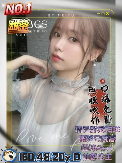高雄外送茶-甜茶/160/48/20/D