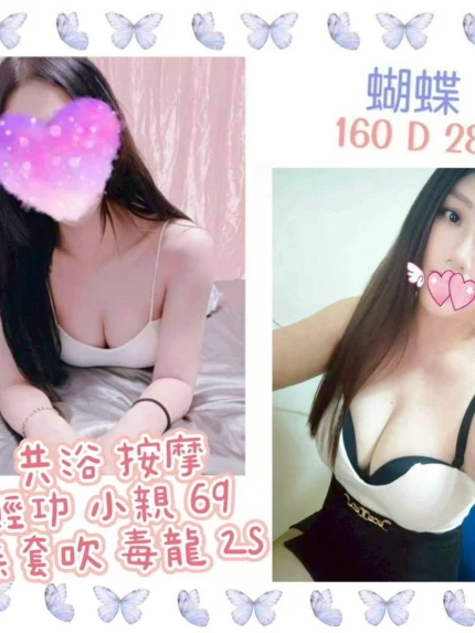 台北定點茶-蝴蝶/160/?/28/D