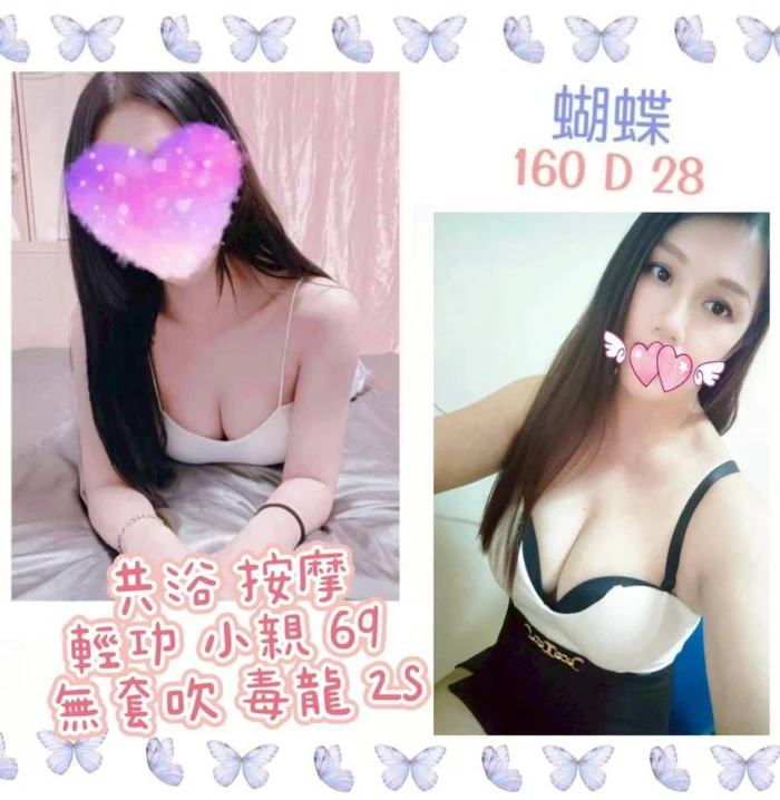 台北定點茶-蝴蝶/160/?/28/D