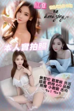 新竹定點茶-紅豆/156/46/26/D