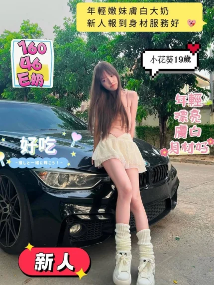 台南定點茶-小花葵/160/46/19/E