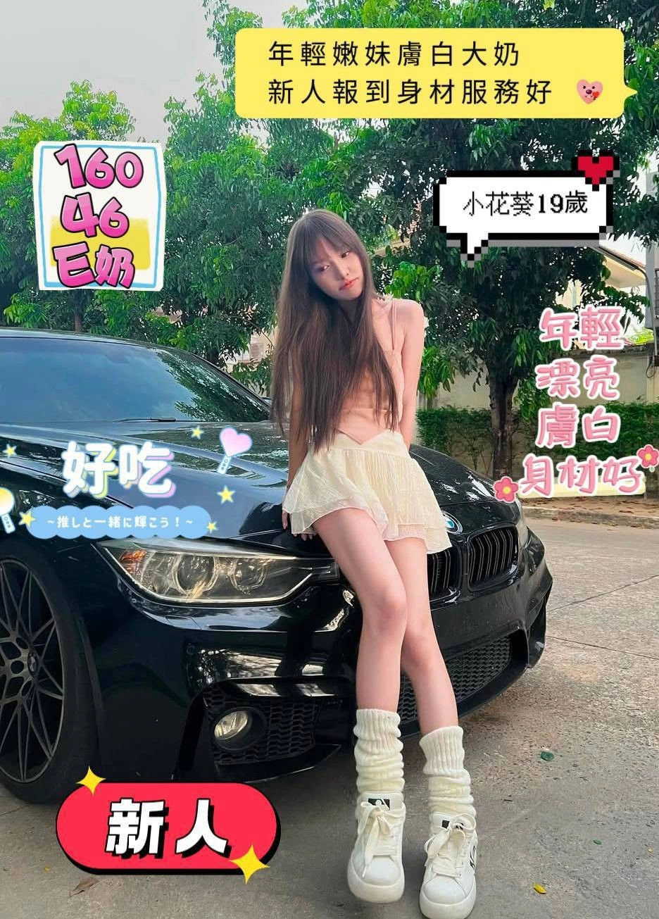 台南定點茶-小花葵/160/46/19/E 台南定點茶-小花葵/160/46/19/E