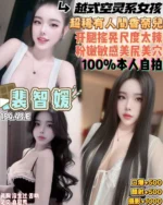 桃園定點茶-裴智媛/154/43/19/E