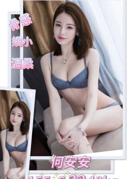 台北外送茶-何安安/155/40/22/C