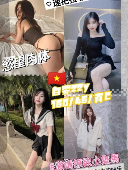 桃園定點茶-白安/160/46/22/C