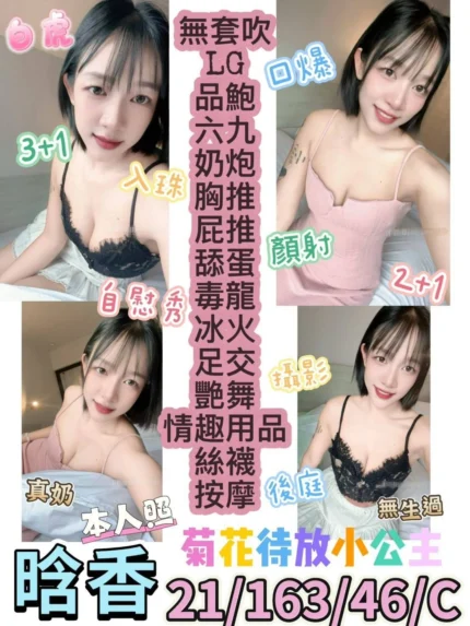 台東定點茶-晗香/163/46/21/C