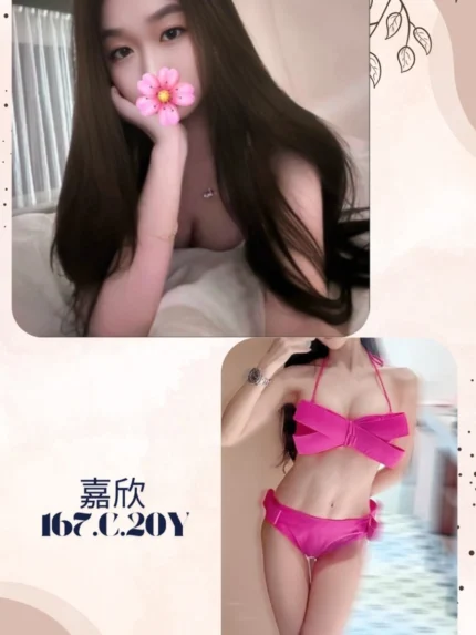 台北外送茶-嘉欣/167/?/20/C