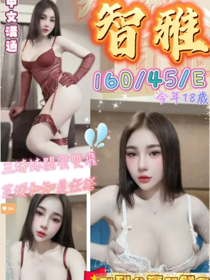 台中定點茶-智雅/160/45/18/E