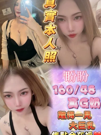 台北定點茶-盼盼/160/48/24/G