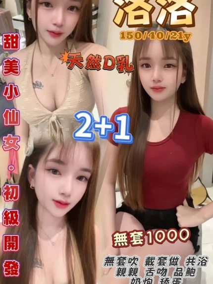 桃園定點茶-洛洛/150/40/21/D