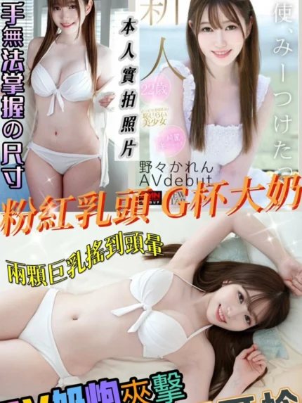 新竹外送茶-野野可怜/155/46/22/G