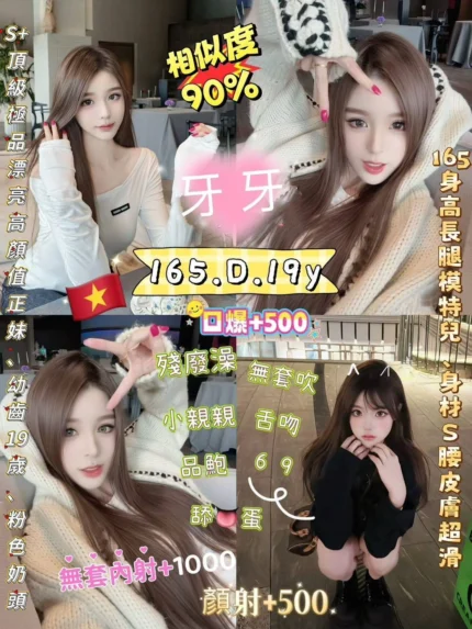 新北定點茶-牙牙/165/47/19/D