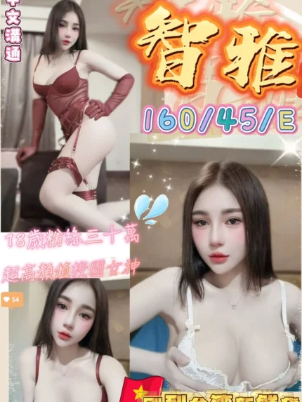 台中定點茶-智雅/160/45/18/E