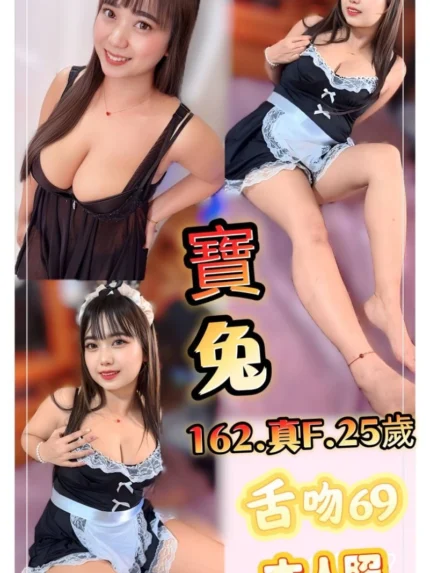 新北定點茶-寶兔/162/60/25/F