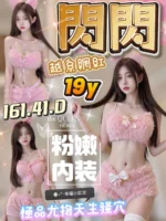 台中定點茶-閃閃/161/41/19/D