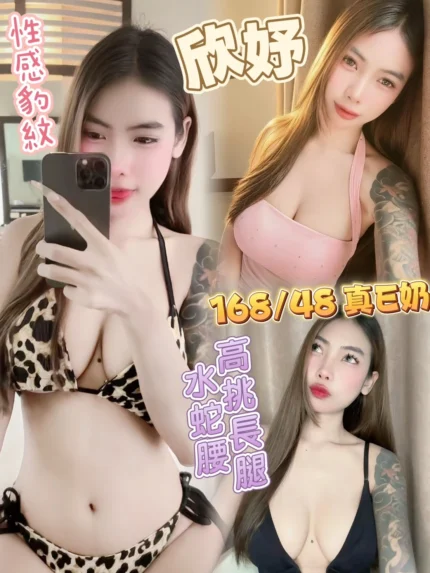 台北定點茶-欣妤/168/48/20/E