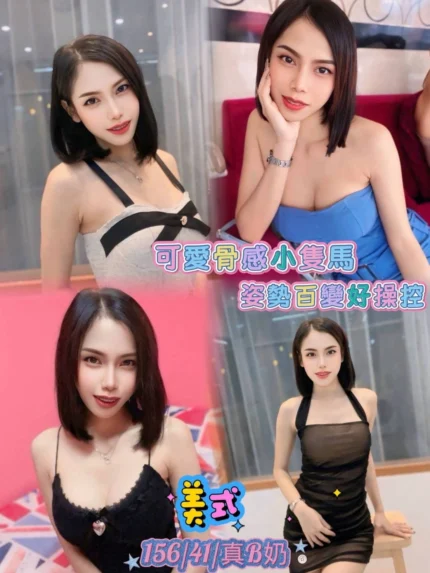 新北定點茶-美式/156/41/22/B