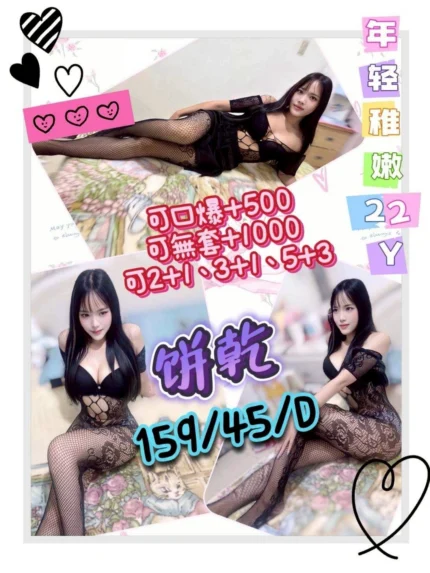 花蓮定點茶-餅乾/159/45/22/D