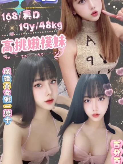 台北定點茶-朱雅/168/48/19/D