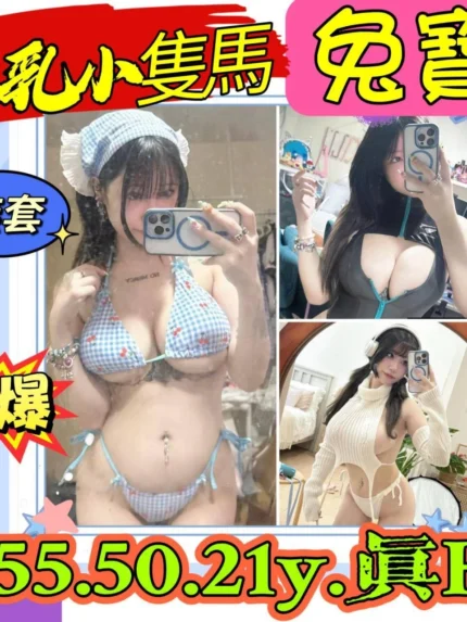 新北定點茶-兔寶/155/50/21/H