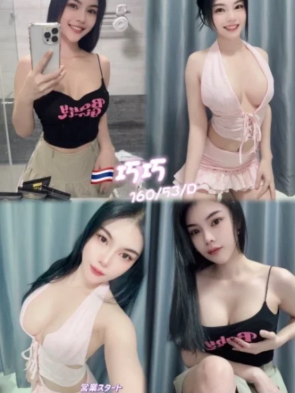 新北定點茶-巧巧/160/53/25/D