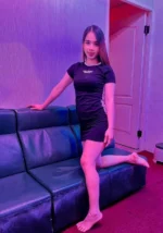 屏東定點茶,外送茶-彩虹/156/45/23/D